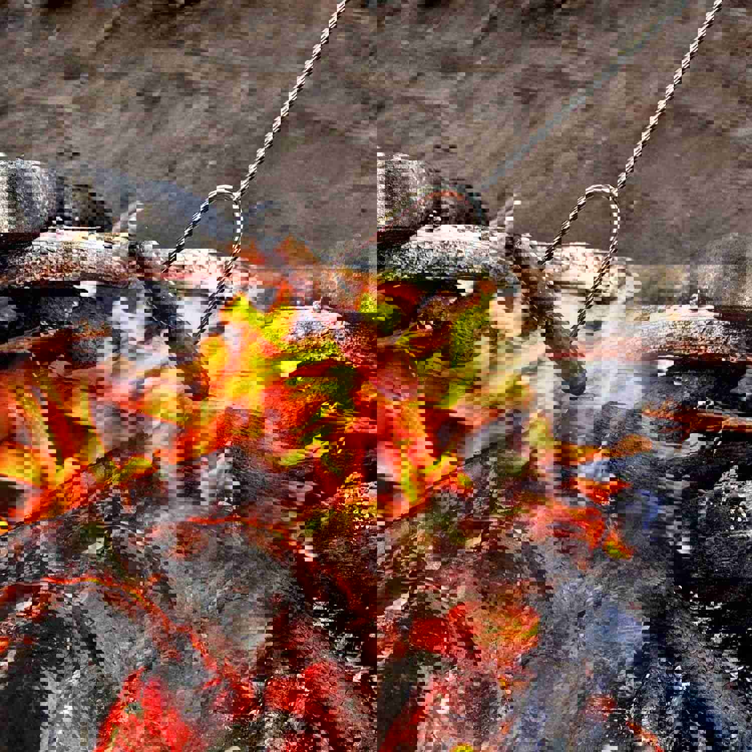 GikPal 6-Pack Extendable Stainless Steel Marshmallow Roasting Sticks for BBQ and Camping