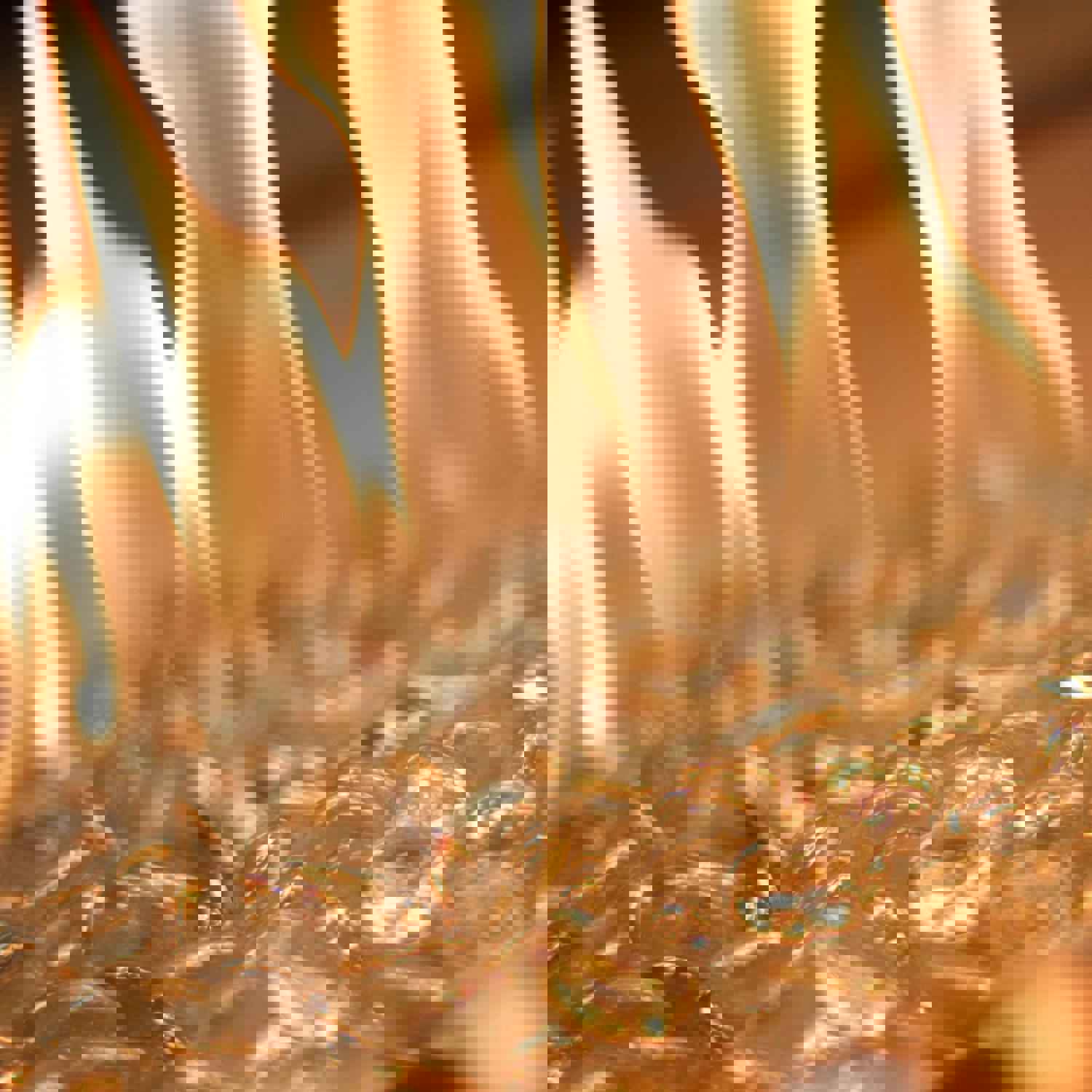 The Outdoor GreatRoom Company Brooks 50-Inch Rectangular Propane Gas Fire Pit Table - Grey