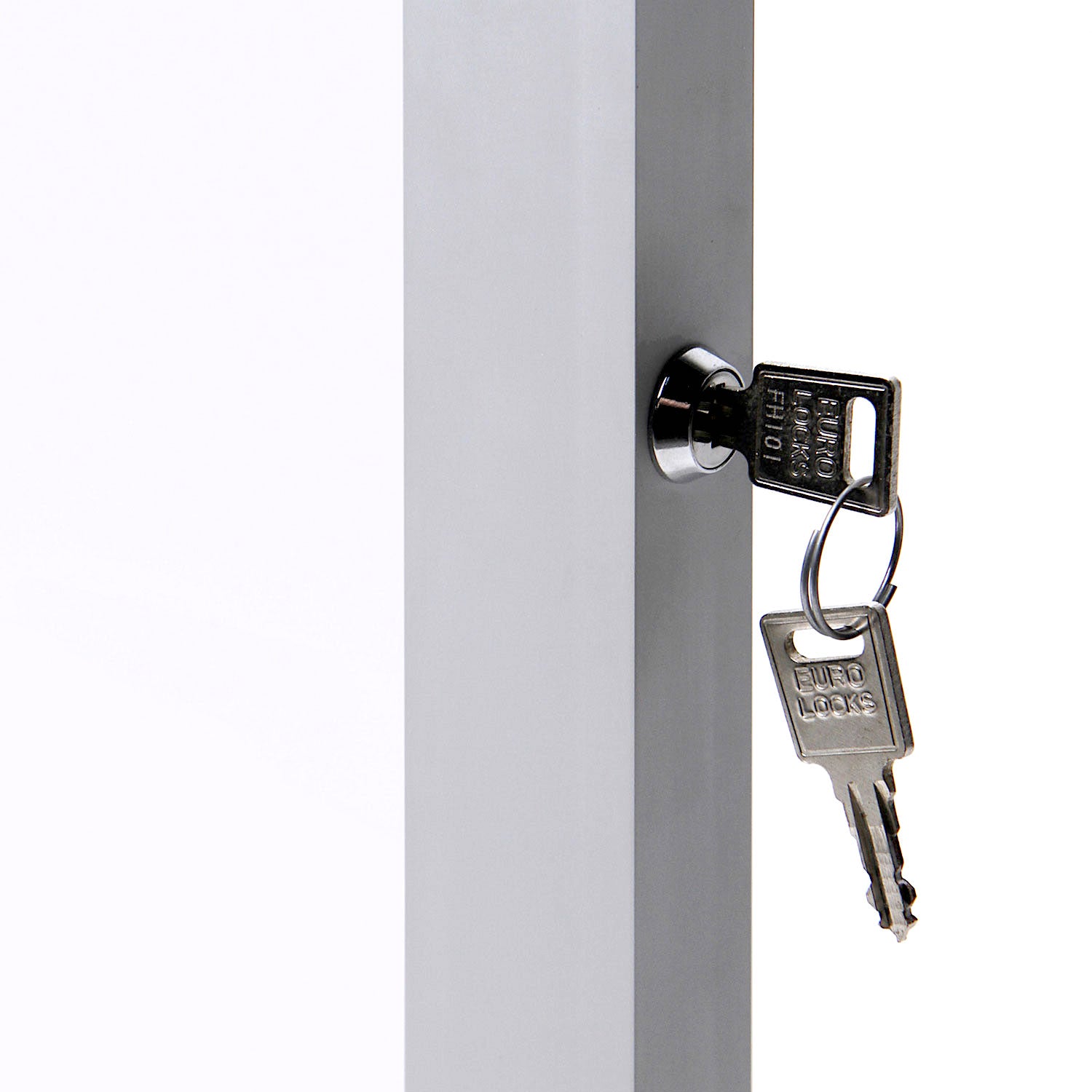 Enclosed Notice Board with Swing Door for Indoor and Outdoor Use