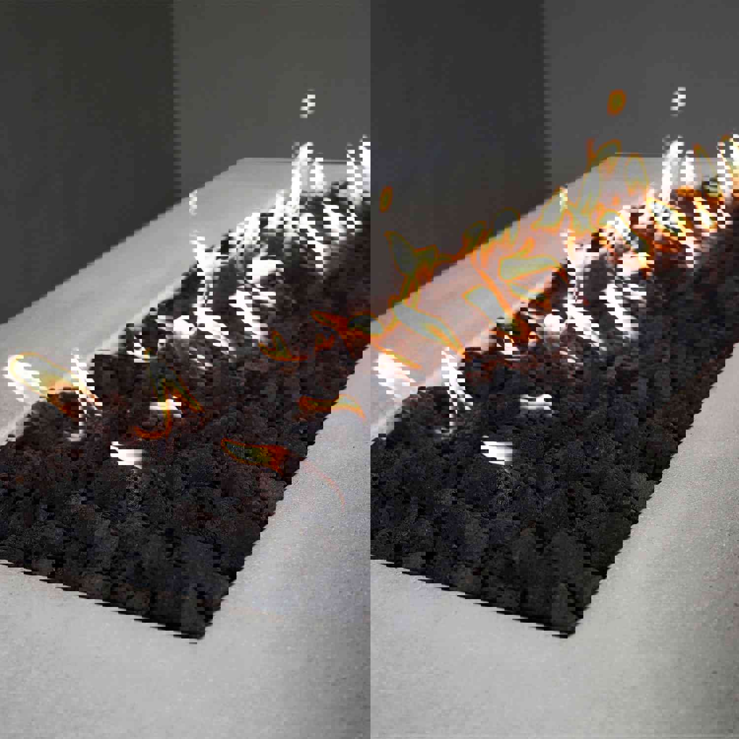 Starfire Designs Concrete Rustic 72 x 38 Rectangle Gravity Gas Fire Pit